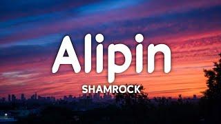 Shamrock - Alipin (Lyrics)️ | Ako'y alipin mo kahit hindi batid [TikTok Song]