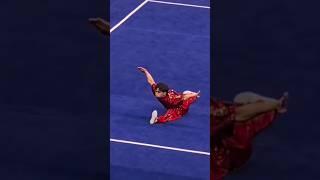 Wushu Taolu/Chanquan/Jump Inside 900* #wushutaolu #wushu #martialarts #acrobatics