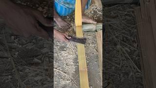 Fantastic Bamboo Cutting #shorts #bamboo #bambooshoot #bamboocutting