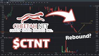CTNT Stock Prediction: Will it Rebound? - CTNT Stock Analysis