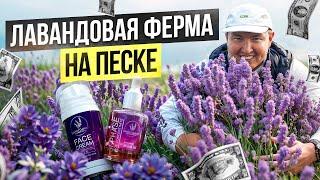 Кыргызская Косметика лучше Корейской!? – Сколько приносит Лавандовая ферма на Иссык-Куле