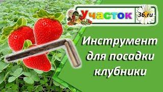 Инструмент для посадки клубники