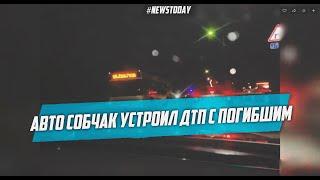 Авто Ксении Собчак угодил в ДТП в Сочи, есть погибшие, а Собчак спокойно уехала на такси