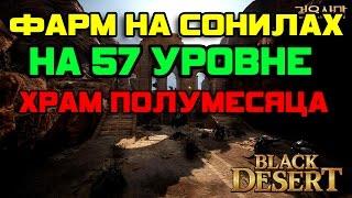  Black Desert: Фарм на сонилах на 57 уровне. Храм полумесяца.