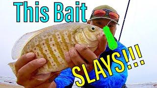 This Bait SLAYS the Perch!