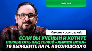 Носоновский Михаил | Язык и химия вина. Проблема цвета и вкуса. Взаимодействие молекул и рецепторов.