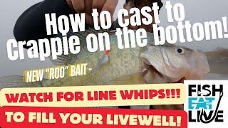 How to Cast to Crappie sitting on the bottom Fish Eat Live