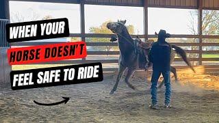 D/C  DOES YOUR HORSE FEEL UNSAFE TO RIDE? Start With This...