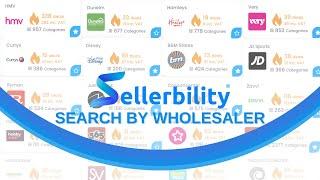 Sellerbility's Search By Wholesaler Function - Upload Product Sheets For Bulk Analysis