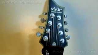 Schecter Damien Platinum 8