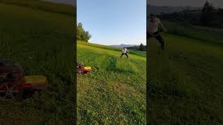 Special Mower versus My Scythe - Very Thick Grass