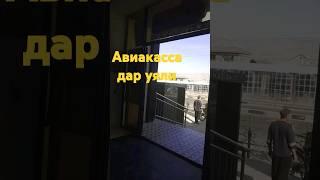 авиакасса дар уяли тел902422244