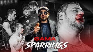 🩸 GAMA SPARRINGS - დაუნდობელი დაპირისპირებები და ნაცნობი სახეები რინგზე