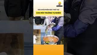 Con người đang sửa chữa phần nào thiệt hại cho môi trường tự nhiên