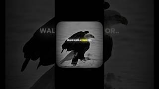 walk like you don’t care who rules!