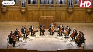 Henry Mancini / Wilhelm Kaiser-Lindemann - The Pink Panther Theme - The 12 Cellos