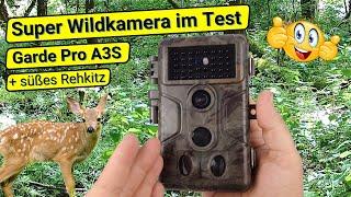 Wildkamera Garde Pro A3S Unboxing Review Vorstellung Praxistest