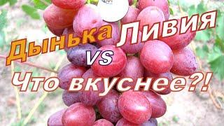 Два ранних сорта винограда Дынька и Ливия!Сравнение сортов в конце сюжета!