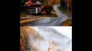 *ЗОЛОТАЯ--ОСЕНЬ*