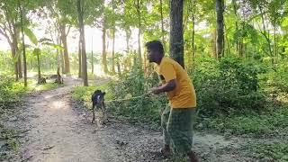 Oho Amazing Man with his goat sweet boy meets cute goat village veloge video