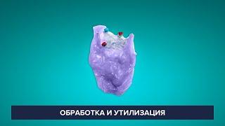 Обработка и утилизация