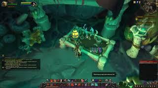 World of Warcraft: Shadowlands - # 133 Кому слизь