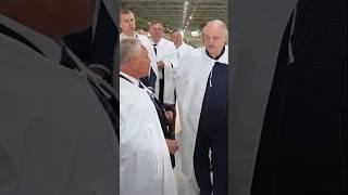 Лукашенко: Что у тебя с падежом? Ответишь головой! // Агрокомбинат "Юбилейный", 2023 год #shorts