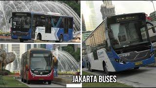 Bus in Jakarta 2019 (Transjakarta) INDONESIA