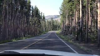 On the way to Mammoth Hot Springs