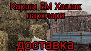 КАРШИ ЕМ ХАШАК НАРХЛАРИ QARSHI YEM XASHAK NARXLARI