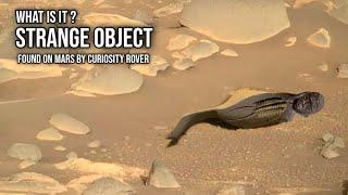 NASA's Mars Curiosity Rover discovered a Strange Object on Mars surface | Mars Latest Pictures 2022