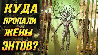 Куда пропали Жены Энтов?