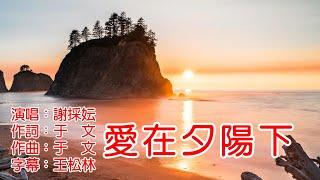 謝採妘《愛在夕陽下》