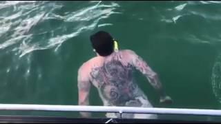 Rare majestic whale Only in nz