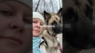 Спорт с собаками-это круто‍ #belgianmalinois #собака