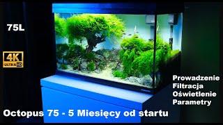 Octopus 75 - 5 miesięcy od startu