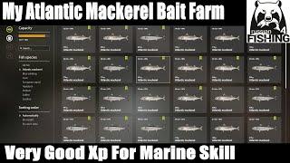 Russian FIshing 4, My Atlantic Mackerel Bait Farm, Very Good Xp For Marine Skill Norway