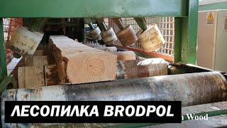 BRODPOL Линия лесопиления 3 м (2019 г.) (SAWMILL LINE BRODPOL)