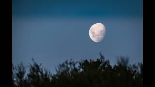 Paul Verlaine - Clair De Lune