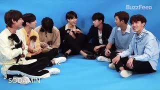 [ОЗВУЧКА] BTS интервью с щенками | BTS Plays With Puppies While Answering Fan Questions