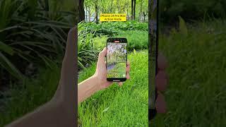 iPhone 14 Pro Max vs Galaxy S23 Ultra Anti-Shake Comparison #Shorts