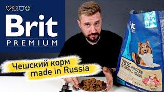 Brit Premium сухой корм для собак - Обзор на отечественный корм Брит Премиум