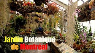 Jewellery of Earth Plants Life | Complete Tour of Montreal Botanical Garden | Indoor greenhouses