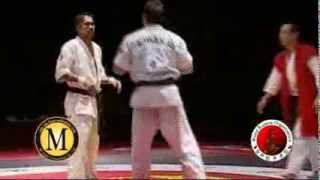 2010 WKO World Kumite Championships Middleweight Second Fight Level 3