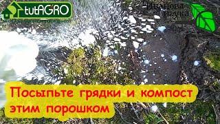 СЛИЗНИ - ВОН! Посыпьте этот порошок на грядки, под мульчу и вокруг компостной кучи и слизни исчезнут