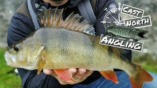 Perch fishing canals in Ireland