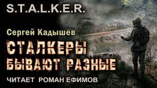 S.T.A.L.K.E.R. Сталкеры бывают разные (аудиокнига). ФАНТАСТИКА. Сергей Кадышев. Читает Роман Ефимов.