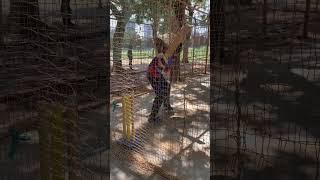 #athlete #cricket #sports #viralvideo #shorts