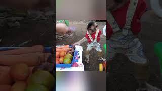 Smart monkey Chita buys vegetables and fruit