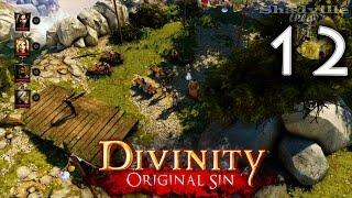 Divinity: Original Sin (PS4) Прохождение игры #12: Реджинальд и говорящая голова